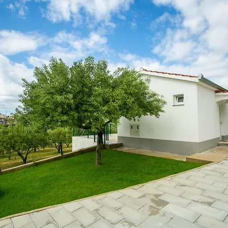 House Olive Solin