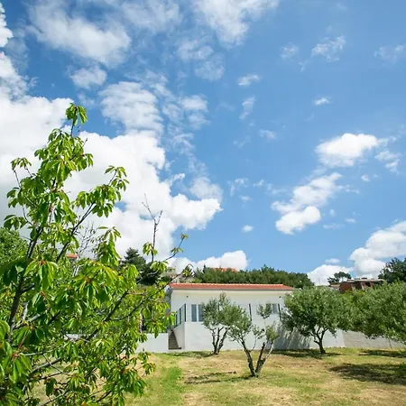 House Olive * Solin
