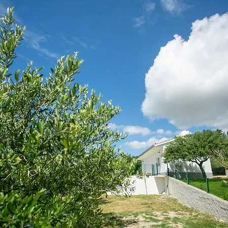 House Olive Apartment *