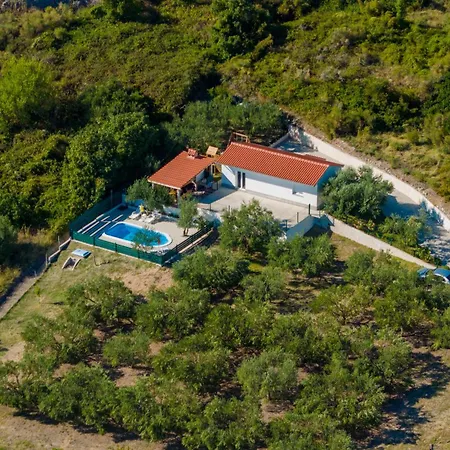 House Olive Апартаменты